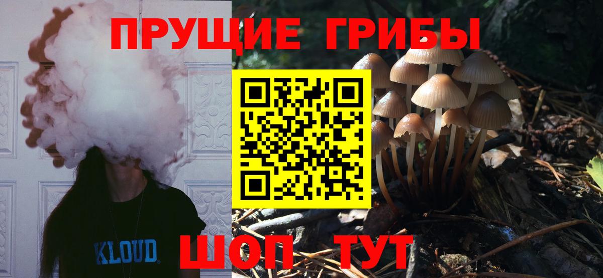 Псилоцибиновые грибы ЛСД  Вход с VPN  Псилоцибиновые грибы ЛСД  Барнаул 