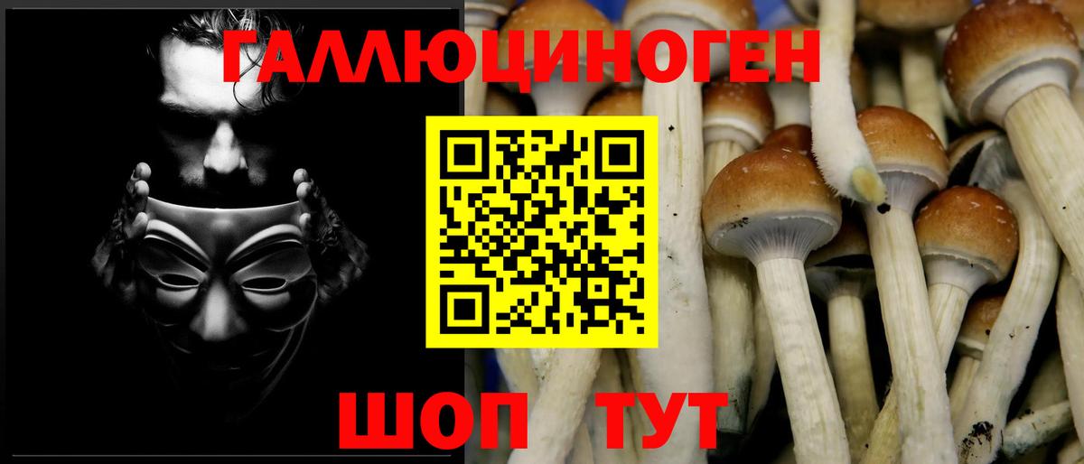 Псилоцибиновые грибы GOLDEN TEACHER Барнаул